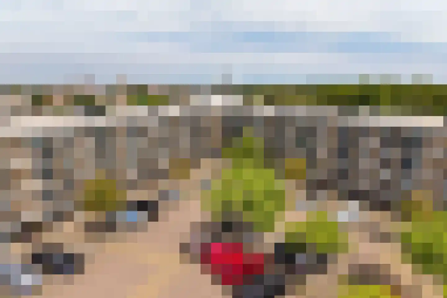 Zandbank 14 Noordwijk foto 2