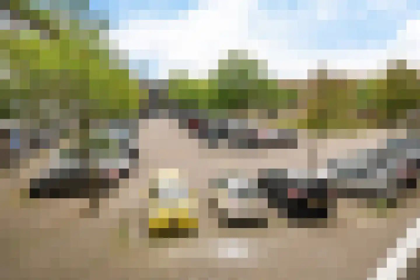 Zandbank 14 Noordwijk thumbnail 25