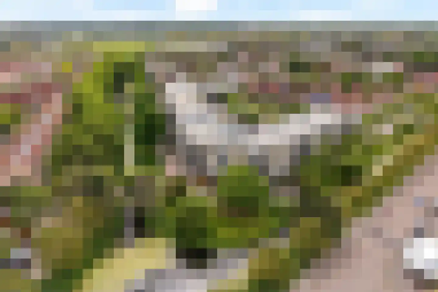 Zandbank 14 Noordwijk thumbnail 31