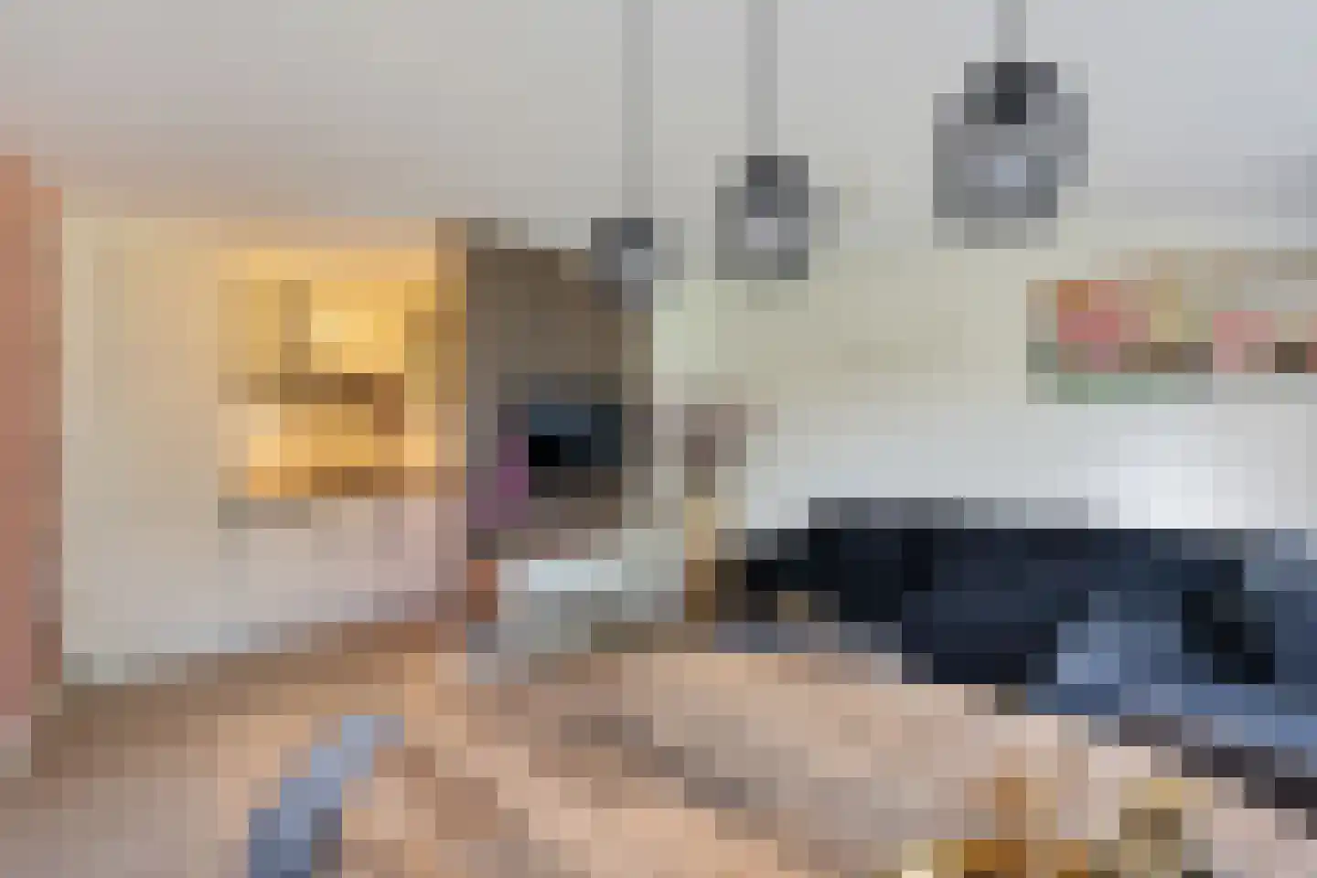 Zandbank 14 Noordwijk thumbnail 4