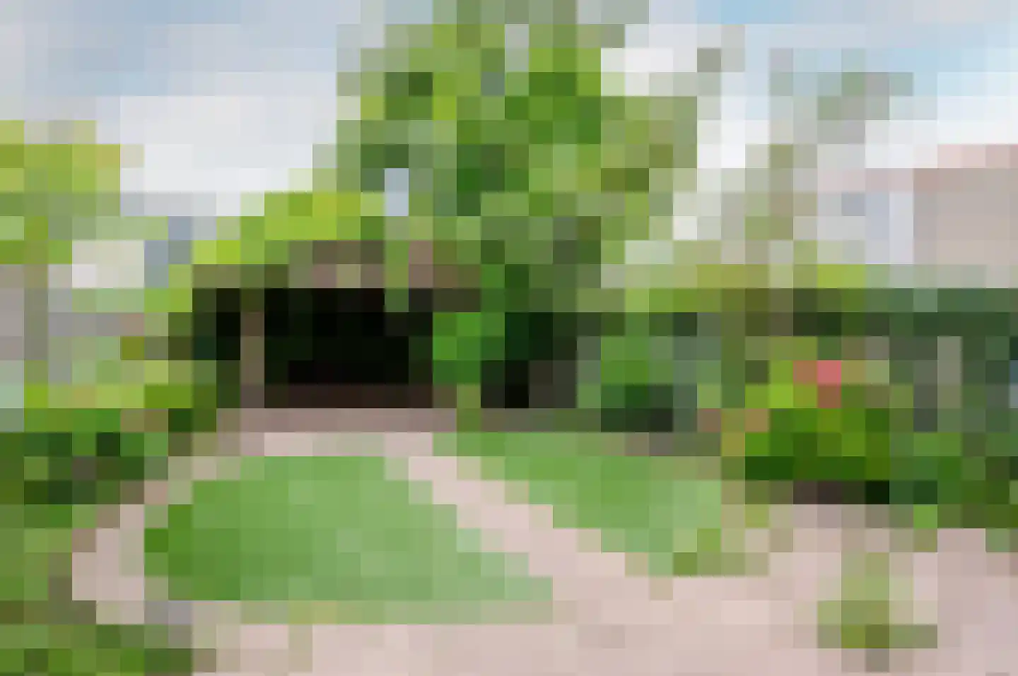 Zandbank 141 Lelystad thumbnail 5