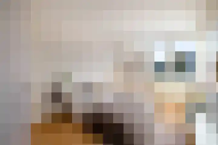 Zandbank 160 Lelystad thumbnail 13