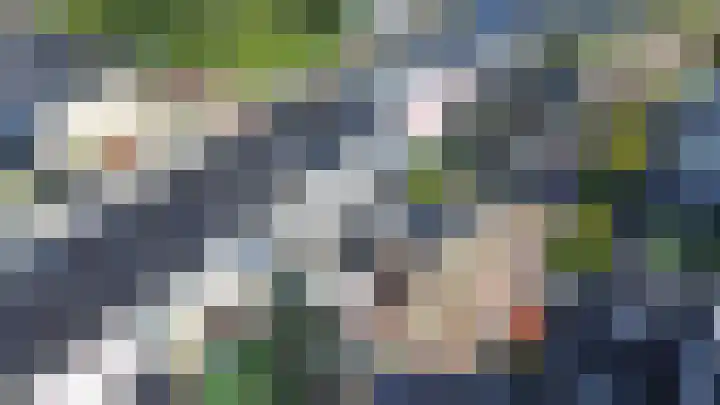Zandbank 160 Lelystad thumbnail 29