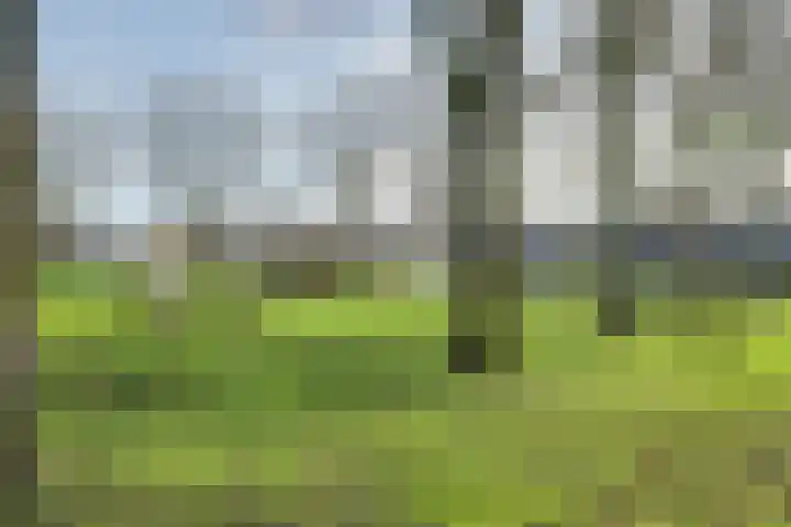 Zandbank 174 Lelystad thumbnail 39