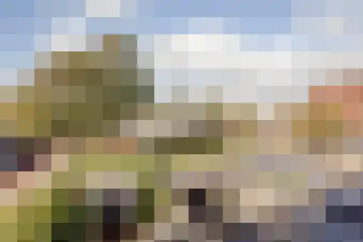 Zandbank 18 Lelystad thumbnail 23
