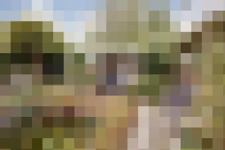Zandbank 18 Lelystad thumbnail 25