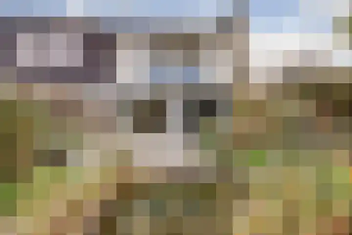 Zandbank 18 Lelystad thumbnail 26
