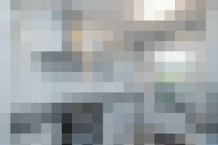 Zandbank 26 Noordwijk thumbnail 13