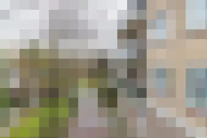 Zandbank 26 Noordwijk thumbnail 25