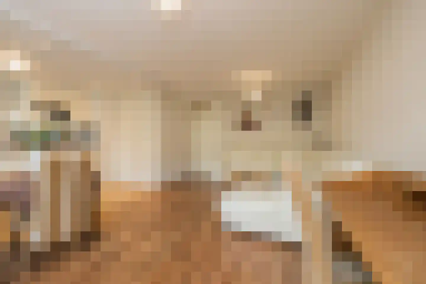 Zandbank 3 Noordwijk thumbnail 17