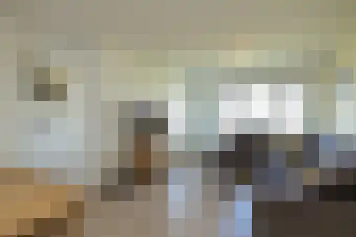 Zandbank 38 Noordwijk thumbnail 23