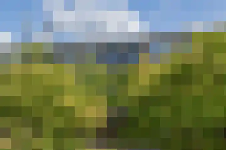 Zandbank 38 Noordwijk thumbnail 36