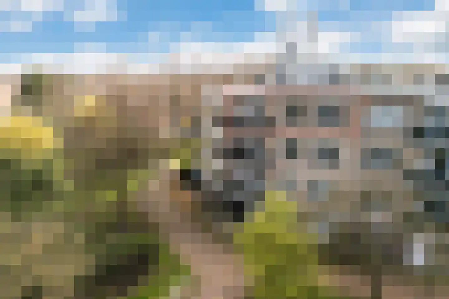 Zandbank 41 Noordwijk