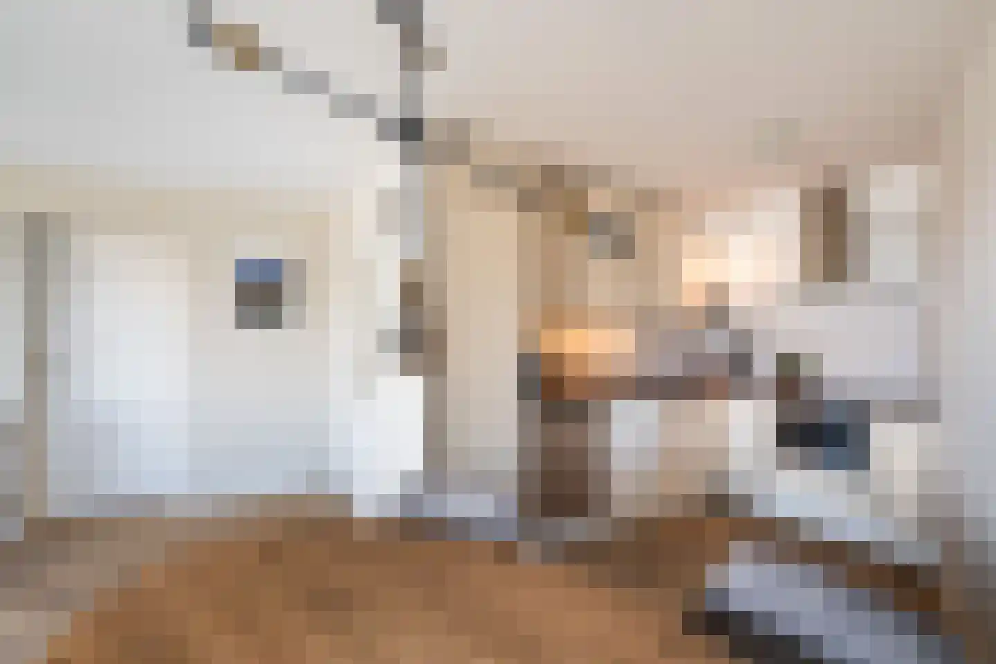 Zandbank 41 Noordwijk thumbnail 15