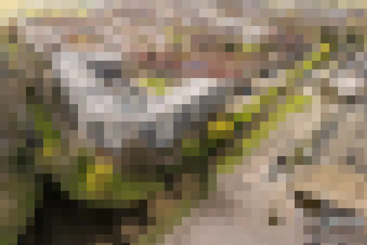 Zandbank 41 Noordwijk thumbnail 40
