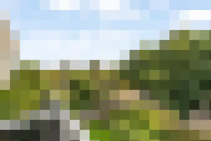 Zandbank 45 Noordwijk thumbnail 15