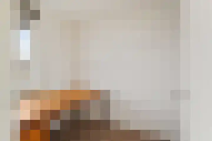 Zandbank 45 Noordwijk thumbnail 21