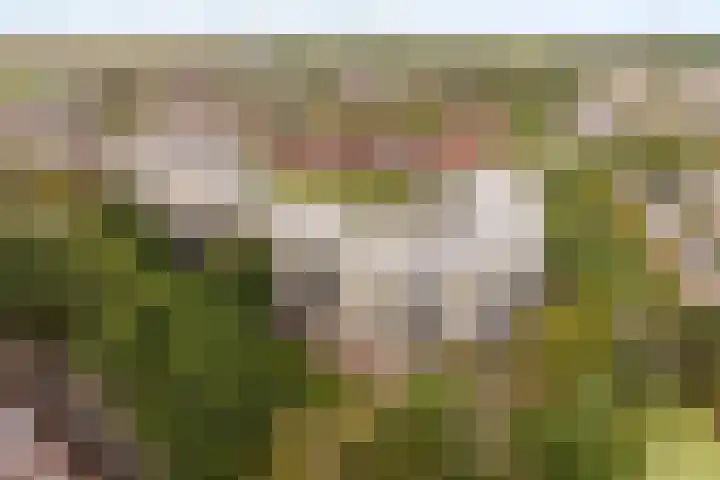 Zandbank 45 Noordwijk thumbnail 28