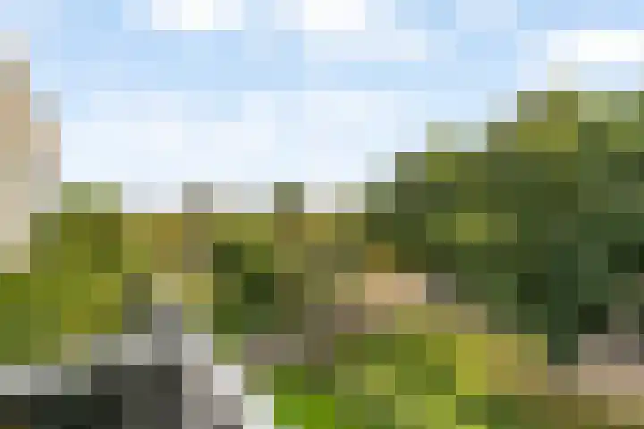 Zandbank 47 Noordwijk thumbnail 11