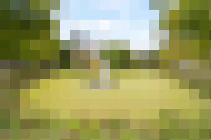 Zandbank 47 Noordwijk thumbnail 24