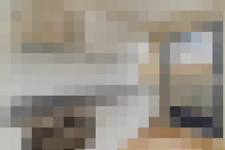 Zandbank 47 Noordwijk thumbnail 8