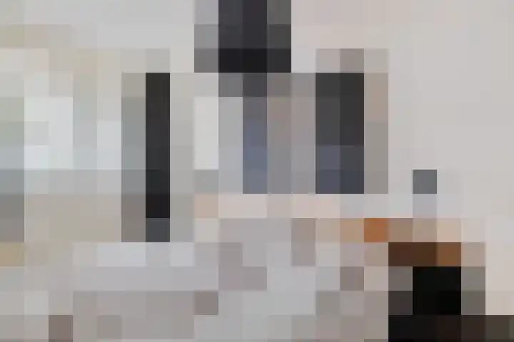 Zandbank 49 Noordwijk thumbnail 12