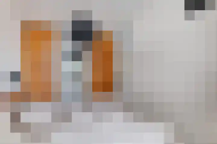 Zandbank 49 Noordwijk thumbnail 13