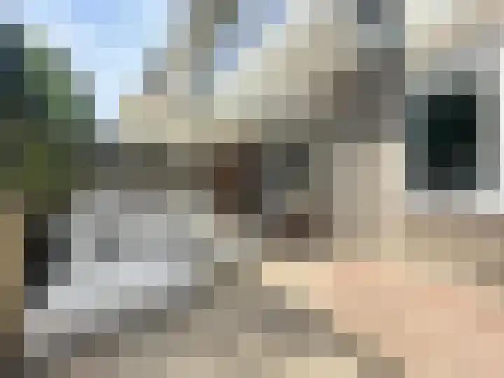 Zandbank 49 Noordwijk thumbnail 21