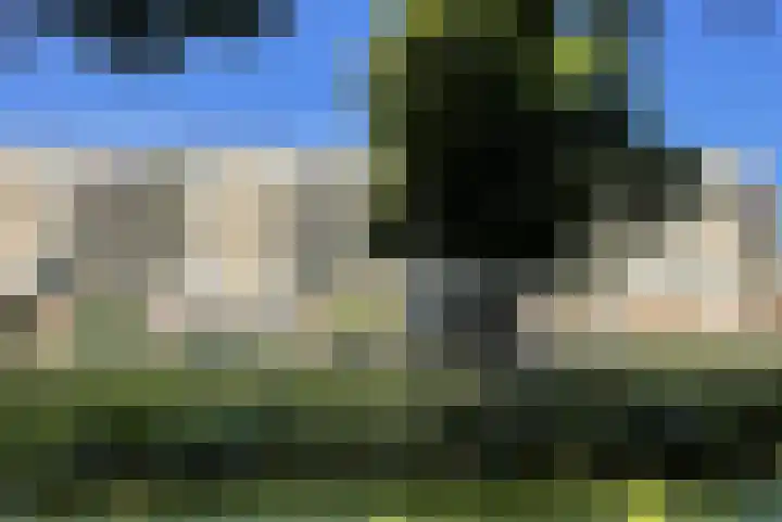 Zandbank 49 Noordwijk thumbnail 23