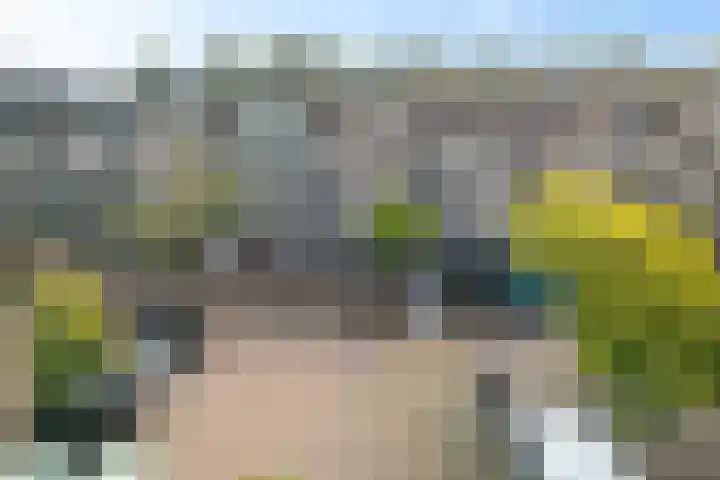 Zandbank 49 Noordwijk thumbnail 25