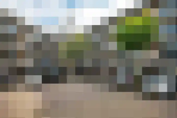 Zandbank 49 Noordwijk thumbnail 26