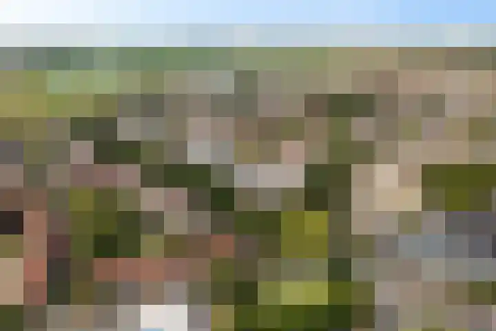 Zandbank 49 Noordwijk thumbnail 27