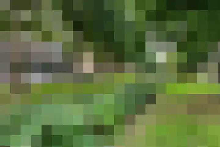 Zandbank 49 Noordwijk thumbnail 31