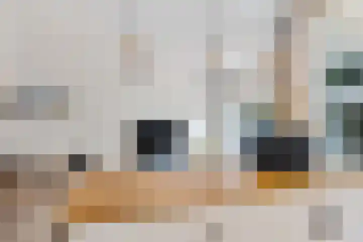 Zandbank 49 Noordwijk thumbnail 5