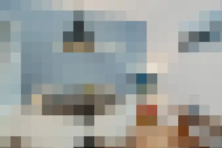 Zandbank 49 Noordwijk thumbnail 7