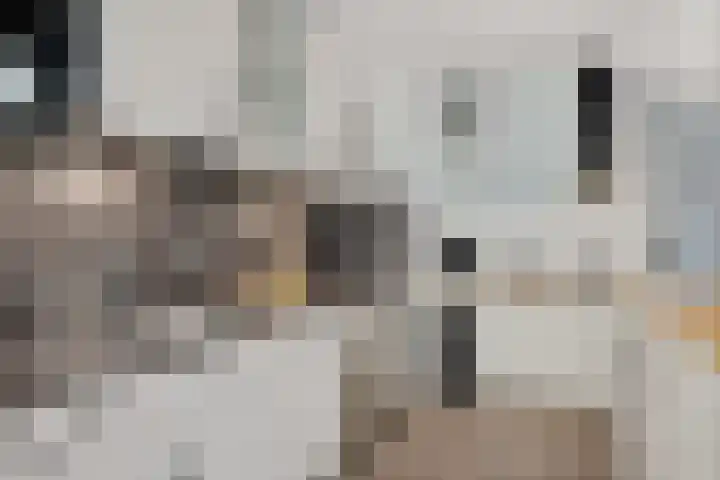 Zandbank 49 Noordwijk thumbnail 9
