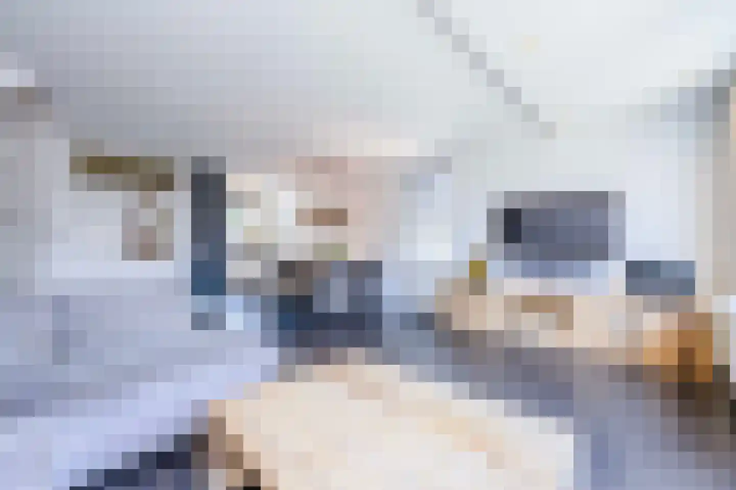 Zandbank 7 Katwijk thumbnail 22