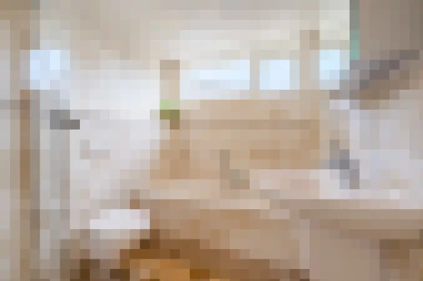 Zandbank 7 Katwijk thumbnail 5