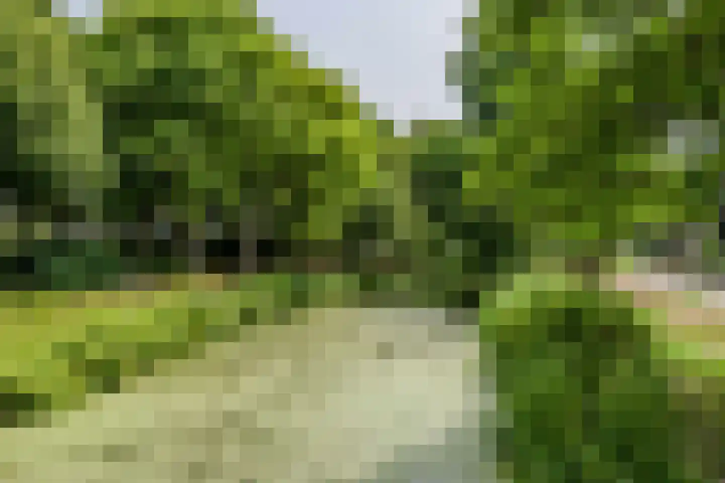 Zandbank 7 Katwijk thumbnail 58