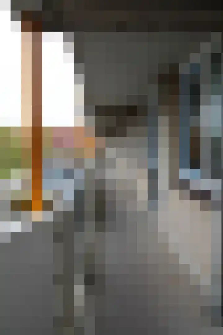 Zandbank 7 Noordwijk thumbnail 5