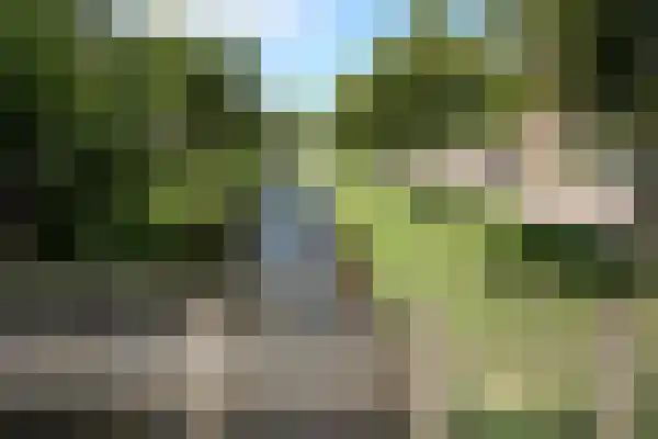 Zandbank 7 Noordwijk thumbnail 9