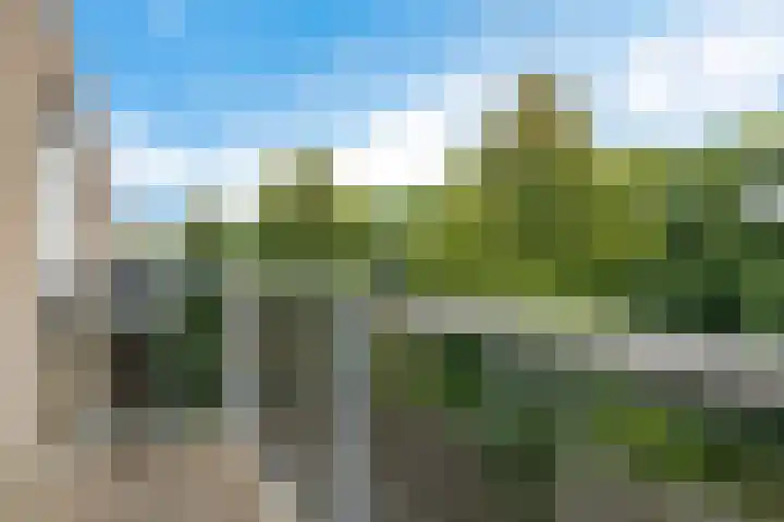 Zandbank 80 Noordwijk thumbnail 16