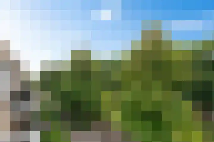 Zandbank 80 Noordwijk thumbnail 21