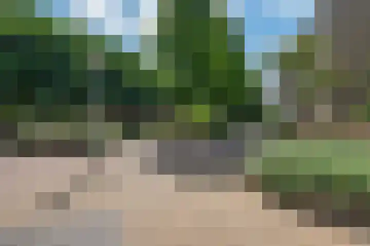 Zandbank 80 Noordwijk thumbnail 30