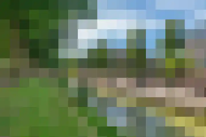 Zandbank 80 Noordwijk thumbnail 31