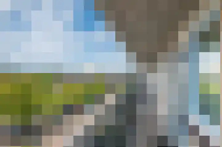 Zandbank 80 Noordwijk thumbnail 7