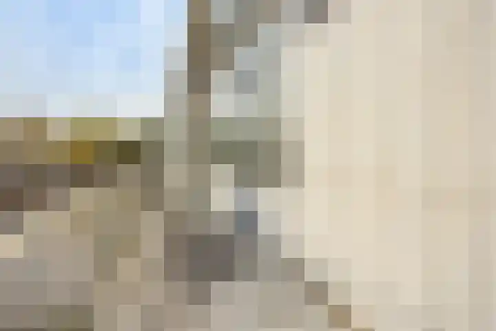Zandbank 9 Lelystad thumbnail 18