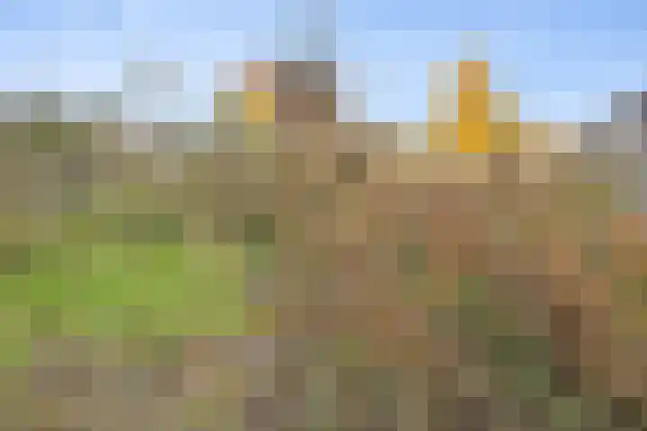 Zandbank 9 Lelystad thumbnail 33