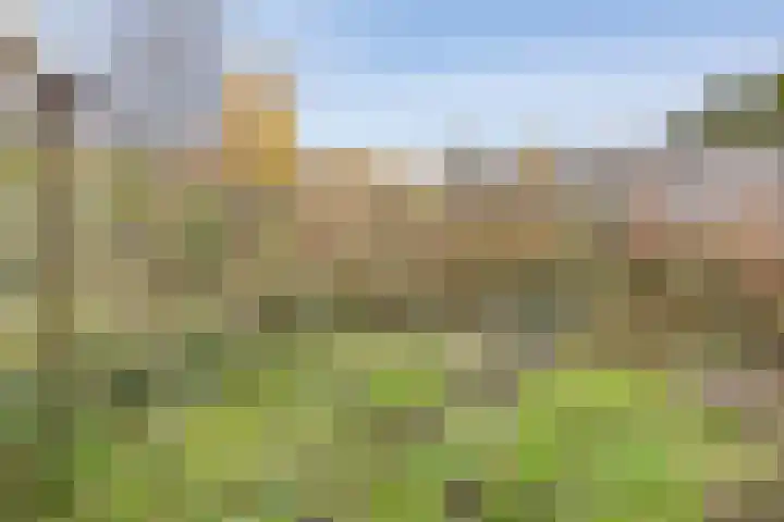 Zandbank 9 Lelystad thumbnail 34