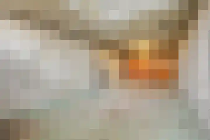 Zandbank 9 Lelystad thumbnail 6
